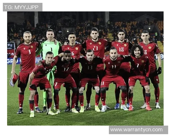 芬兰对阵亚美尼亚精彩直播全程回顾与赛后分析