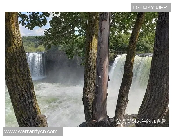 易景流：探索自然之美与人文情怀的和谐交融之旅